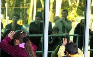  Trump i republikanci o imigraciji nakon kritika tretmana djece